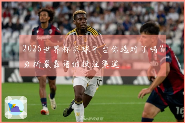 2026世界杯买球平台你选对了吗？分析最靠谱的投注渠道