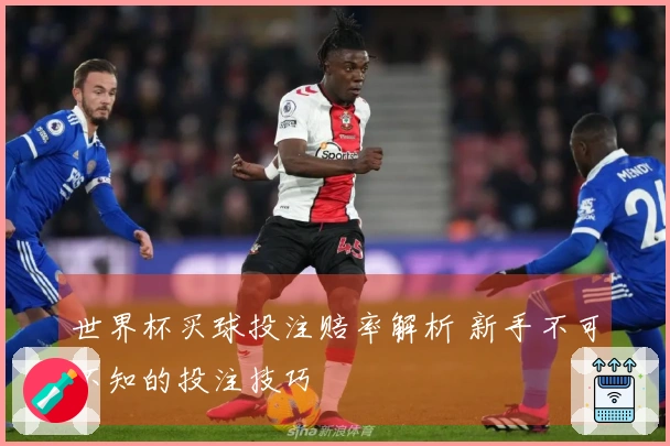 世界杯买球投注赔率解析 新手不可不知的投注技巧