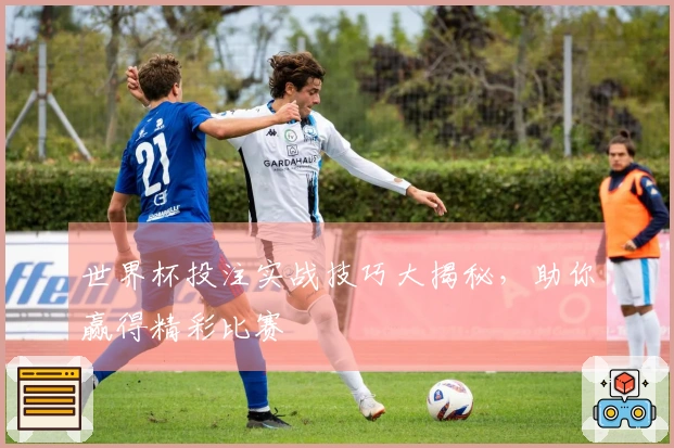 世界杯投注实战技巧大揭秘，助你赢得精彩比赛