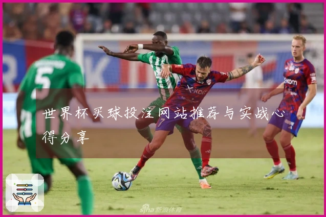 世界杯买球投注网站推荐与实战心得分享