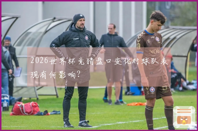 2026世界杯竞猜盘口变化对球队表现有何影响？